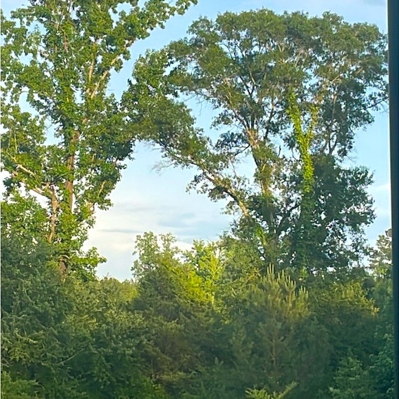 Meet your Posher, Colleen - Picture 1 of 1